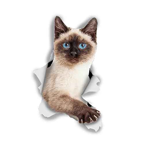 Winston & Bear 3D Cat Stickers - 2 Pack - Breakout Siamese Decals for Wall, Bedroom, Fridge, Toilet, Room - Retail Packaged Blue-Eyed Siamese Stickers