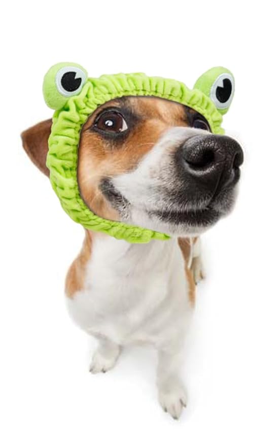 Makeup Headbands for Women for Washing Face Frog Headband Cute Spa Animal Facial Hair Band for Girls Soft Elastic Skincare Shower Head Wraps Green
