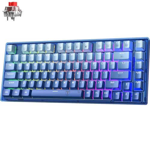 RisoPhy 60 Percent Keyboard, 82 Keys Hot Swappable Mechanical Gaming Keyboard, Linear Silent Red Switches, Blue PBT Keycaps, Compact Mini RGB Backlit Wired Creamy Keyboard, Pro Driver Supported