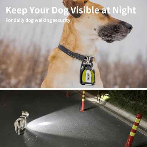 Lighter Electric Lighter and LED Flashlight ? 2-in-1 | WARSUN 3-Pack Mini Clip-On Rechargeable EDC Flashlight, 400 Lumens, USB-C, Bottle Opener, Dog Light, Everyday Carry