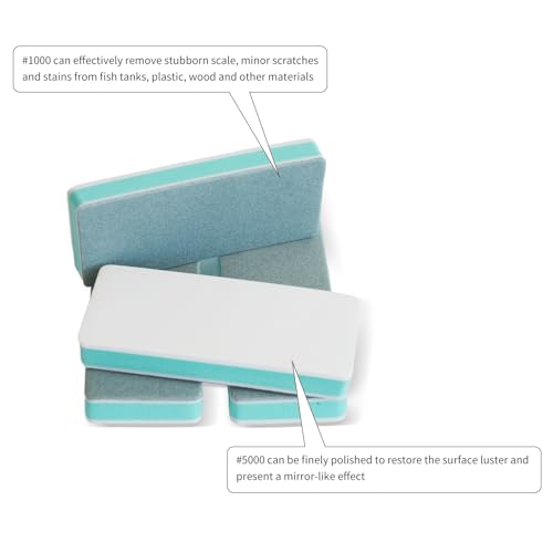 Polishing Pad Cleaning Brush -1000 Grit & 5000 Grit Double-Sided Design Portable Palm-Sized Sanding Blocks - 6 Pieces-£¨Light Green EVA Foam £©-Cleaning Brush