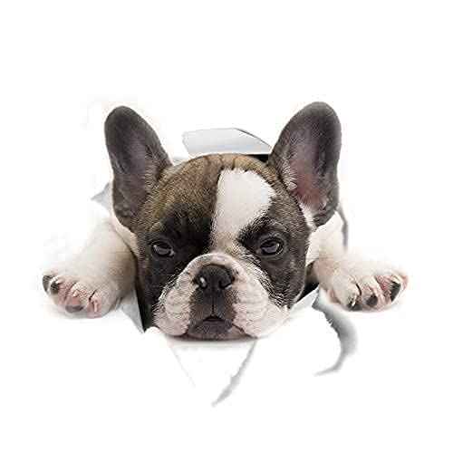 Puppy Dog Wall Decals Peel and Stick for Girls Bedroom Kids Room Decor, 12"H Golden Retriever and Bulldog Stickers for Car and Wall