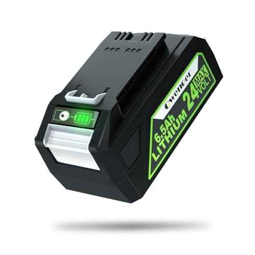 [3X Long Runtime] 24V 6.5Ah Replacement for Bis 24V Battery Compitable with Bis Cleanview XR & XR Pet Series Vacuum, Compitable with Bis Vacuum Cleaner 3789U, 3797V
