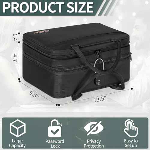 Lockable Toy Storage Organizer Case for Women and Men, Lock Box Travel Bag, Reusable Toy Organizer Case, Double Layer