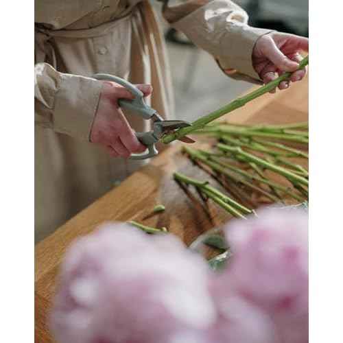 Flower Scissors - Stainless Steel Floral Scissors, Florist Cutters for Stems, Garden Plant Shears for Fresh Flowers (Blue, Pink) (12 PCS)