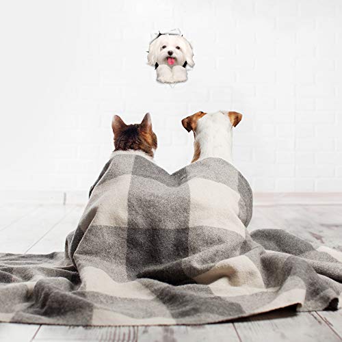 Winston & Bear 3D Dog Stickers - 2 Pack - Cute Maltese Dog Decals for Wall, Fridge, Toilet and More - Retail Packaged Maltese Stickers