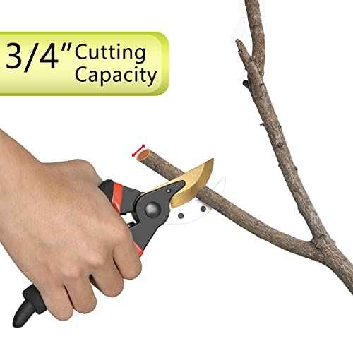 5 pack Garden Pruning Shears Stainless Steel Blades, Handheld Scissors Set with Gardening Gloves,Heavy Duty Garden Bypass Pruning Shears,Tree Trimmers Secateurs, Hand Pruner (Classic)