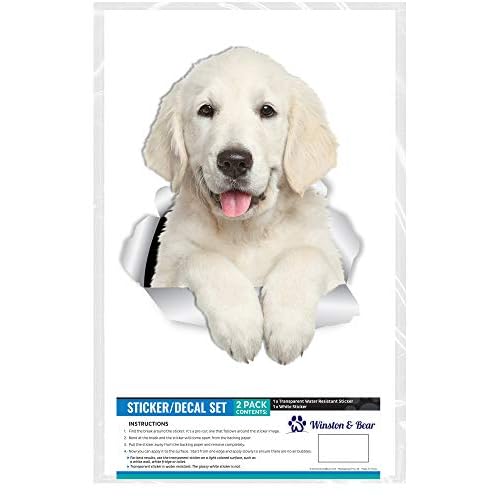 Winston & Bear Gorgeous Golden Retriever Dog Wall Decals - 2 Pack - 3D Sticker Decals for Walls, Cars, Toilet and More - Retail Packaged Golden Retriever Gifts