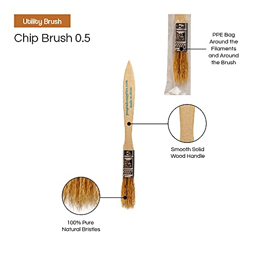 Vermeer Chip Paint Brushes - 24-Pack - 1/2" Chip Brushes for Paints, Stains, Varnishes, Glues, & Gesso - Home Improvement - Interior & Exterior Use