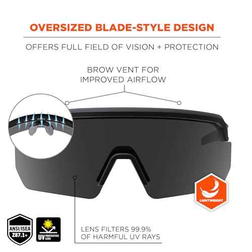 Ergodyne Skullerz AEGIR Anti Scratch Safety Glasses, Anti-Fog, ANSI z87.1