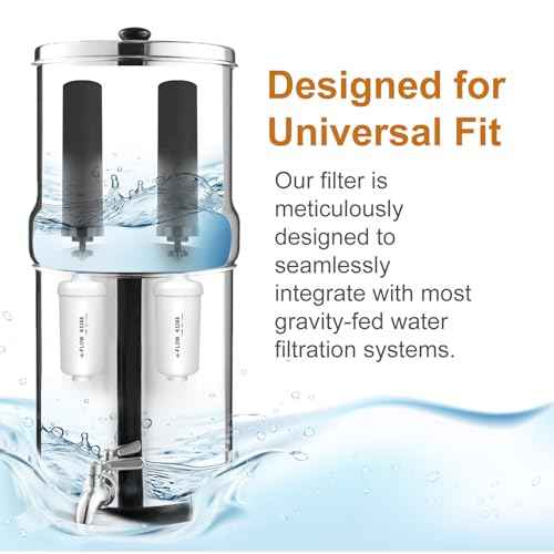 Water Filter Replacement for Berkey¢ç, 2 Black Carbon Filters and 2 Fluoride Filters Compatible with Berkey¢ç Gravity Water Filter System