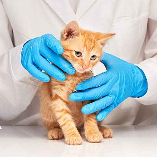 Jointown Basic Nitrile Exam Gloves, Medical Blue Gloves Disposable Latex Free Powder-Free For Exam, Food Prep Cleaning, Medium Case Of 1000, M, NGPF7002