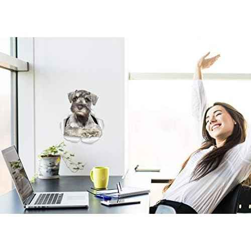 Winston & Bear 3D Curious Schnauzer Wall Decals - Miniature Schnauzer Dog Sticker for Fridge, Door, Car Window and Bumper - Retail Packaged Dog Lover Gift - 2 Pack