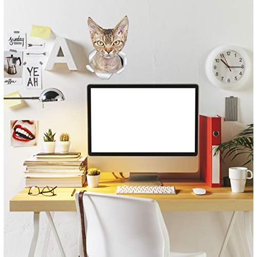 Winston & Bear Grumpy Rex Cat Wall Decals - 2 Pack - Grumpy Rex Cat Toilet Sticker ? 3D Cat Car Window and Bumper Sticker - Retail Packaged Cat Lover Gifts