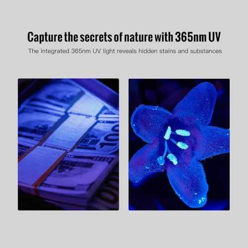 ThruNite Defender 3-in-1 EDC Flat Light ? 1600 Lumens Rechargeable Flashlight with White Light, UV Light, and Green Beam, for Outdoor, Everyday Use, Work