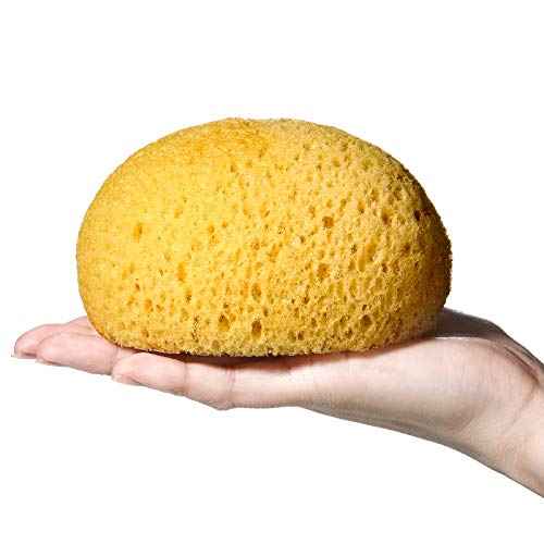 3 Pieces Knockdown Texture Sponge, Orange Peel Texture Patch Sponge, DIY Drywall Repair for Ceiling Repair(11.5 x 9.5 x 6.5 cm)