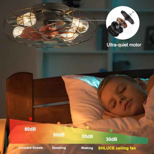Small Caged Ceiling Fan with Light, Farmhouse Rustic Flush Mount Ceiling Fans with Lights and Remote, Bladeless Low Profile Enclosed Ceiling Fan with Light for Kitchen, Bedroom, Black