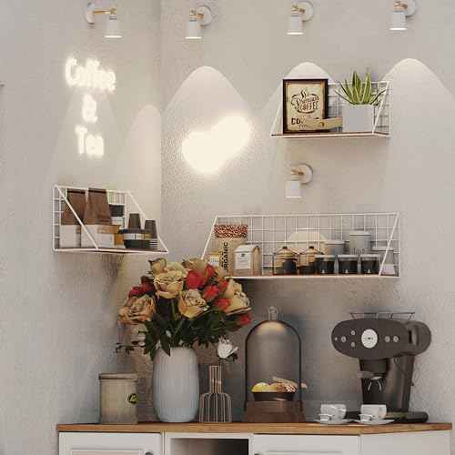 Combined Metal Shelf Wall-Mounted Storage Rack Utility,Hooks Wall Organizer Storage Display Tray Accessories for Craft Room Home Office Bathroom Kitchen (White, 3PCS Combinations(S+M+L))