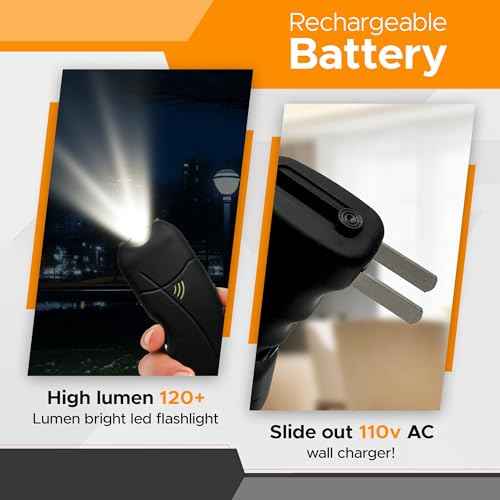FURY Cyclone Stun Gun with Flashlight, Personal Alarm, Comfort Grip, Rechargeable, Wall Charging, Synthetic Leather Case, Easy Belt Attachment ? Self-Defense for Daily Carry