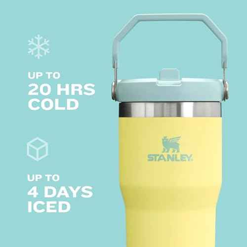 STANLEY IceFlow 2.0 Flip Straw Tumbler with Handle 30 oz | Twist On Lid and Flip Up Straw | Leak Resistant Water Bottle | Insulated Stainless Steel | BPA-Free | Dried Pine