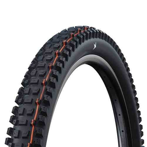 SCHWALBE Albert Tire - 29 x 2.50, Tubeless, Folding, Black, Evolution Line, Trail Pro, Addix Ultra Soft, Radial, E-50