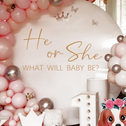 He or She Baby Gender Reveal Wall Decals - Vinyl Stickers for Backdrop Party Supply