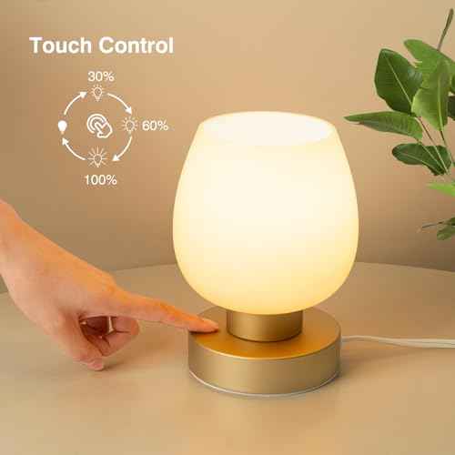 Touch Bedside Table Lamp Set of 2 - Small Modern Table Lamp for Bedroom Living Room Nightstand, 3-Way Dimable Desk lamp with Desert Titanium Color Glass Lamp Shade, 2700K LED Bulb, Simple Design