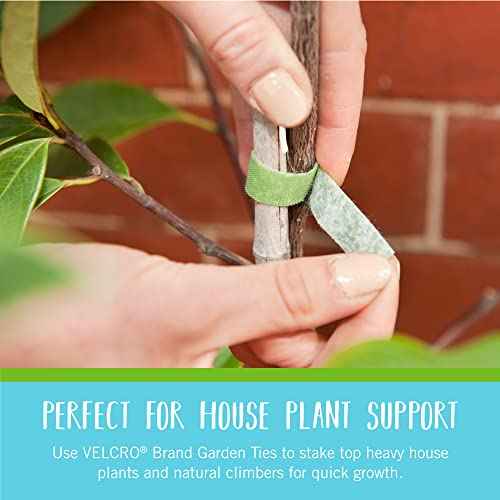 VELCRO Brand VEL-30088-AMS Garden Pre-Cut 45pcs ONE-WRAP Plant Ties Suitable for Tomatoes Flowers or Vegetables in Raised Beds, 8 in X 1/2 in, Green-Recycled Plastic