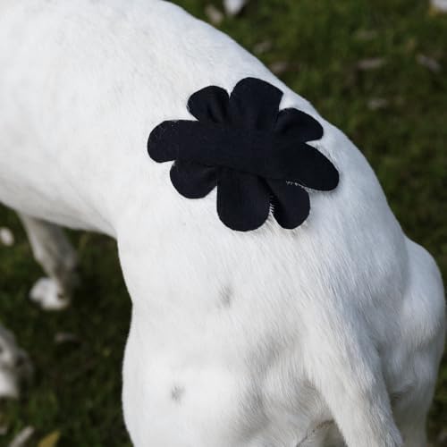 VETKIN VetkinTape® Veterinary Kinesiology Tape | Tape for Horses & Dogs | Equine & Canine Kinesiotape | Latex Free and Quality Mark Certified Ktape | 1.2 inch | Pack of 2 Rolls (Black)