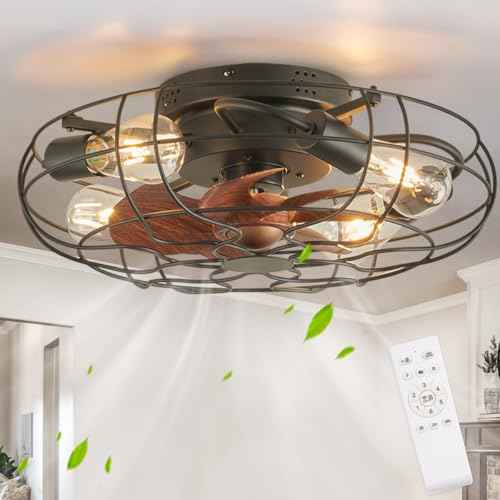 Small Caged Ceiling Fan with Light, Farmhouse Rustic Flush Mount Ceiling Fans with Lights and Remote, Bladeless Low Profile Enclosed Ceiling Fan with Light for Kitchen, Bedroom, Black