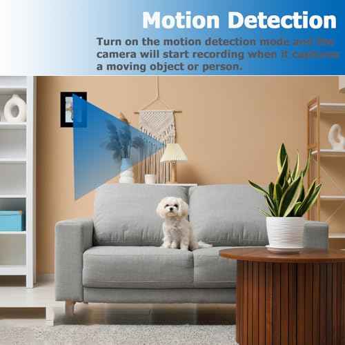 Hidden Camera Frame - Nanny Cam for Indoor Security - Spy Camera with Photo Frame - No WiFi - SD Card Not Included