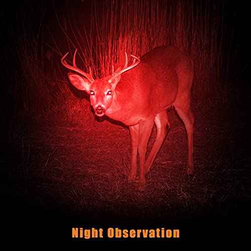 Tuanse 8 Pcs Red Light Flashlight Red LED Flashlight Pen Light Bright Torch for Night Astronomy Aviation Observation Turtle Safe Beach