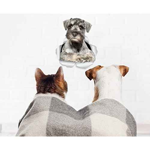 Winston & Bear 3D Curious Schnauzer Wall Decals - Miniature Schnauzer Dog Sticker for Fridge, Door, Car Window and Bumper - Retail Packaged Dog Lover Gift - 2 Pack