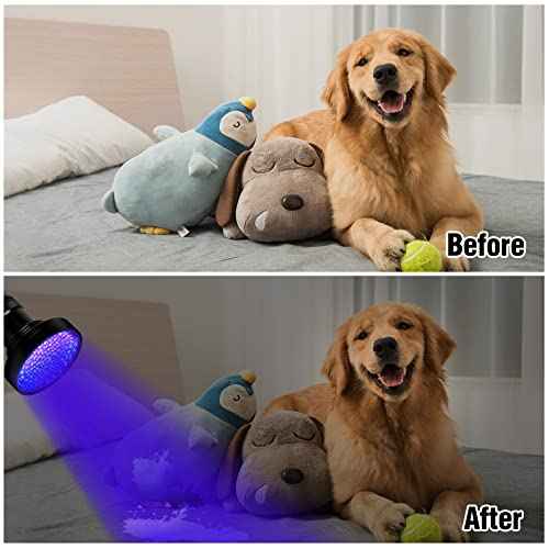 Black Light UV Flashlight, 100 LED Blacklight Flashlights 395 nM Pet Urine Detector for Cat Urine, Stains, Bed Bug, Batteries not Included (100 LED)