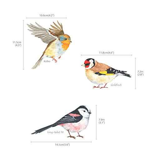 DECOWALL DS2-8038 Little Birds Kids Wall Stickers Wall Decals Peel and Stick Removable Wall Stickers for Kids Nursery Bedroom Living Room (Small) d?cor
