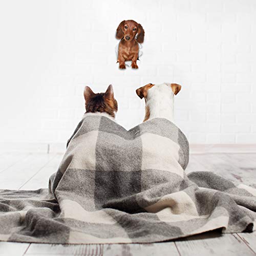 Winston & Bear 3D Dog Stickers - 2 Pack - Long Haired Brown Dachshund for Wall, Fridge, Toilet and More - Doxie 3D Decals - Retail Packaged Sausage Dog