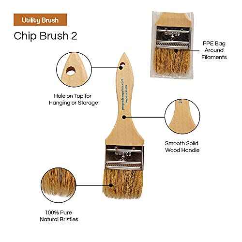 Vermeer Chip Paint Brushes - 24-Pack Chip Brushes in Assorted Sizes for Paints, Stains, Varnishes, Glues, & Gesso - Home Improvement - Interior & Exterior Use