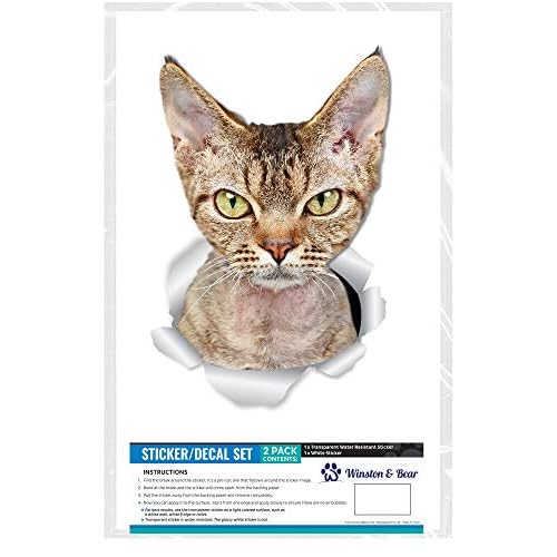 Winston & Bear Grumpy Rex Cat Wall Decals - 2 Pack - Grumpy Rex Cat Toilet Sticker ? 3D Cat Car Window and Bumper Sticker - Retail Packaged Cat Lover Gifts