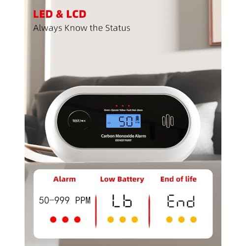 10-Year Battery Carbon Monoxide Detector, Portable Travel CO Detector Alarm for Home, Garage, RV, Camping, LCD Display with Backlight, V-0 Flame-Retardant Housing, Wall Mount or Tabletop