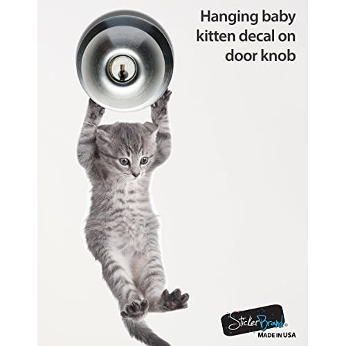 Cute Hanging Baby Kitten cat Door Decal Sticker #6067A