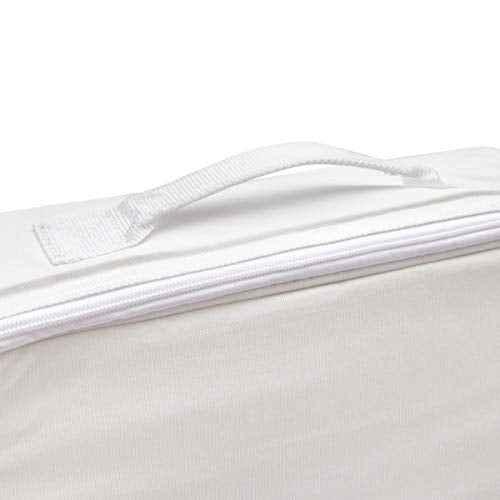 Dickies 14-Inch Painter's Work Bag, Stores Paint Trays, Rollers, and Brushes, Puncture-Resistant Liner, Durable White Canvas