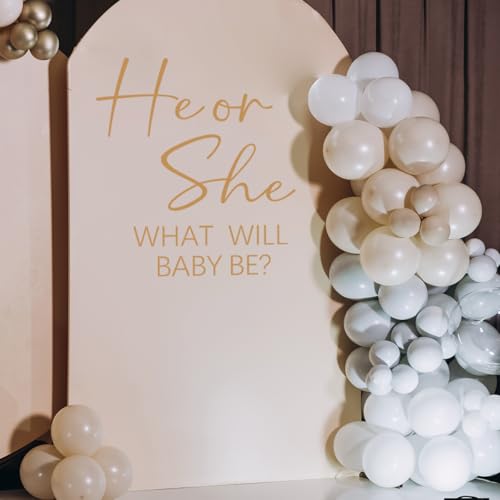 He or She Baby Gender Reveal Wall Decals - Vinyl Stickers for Backdrop Party Supply