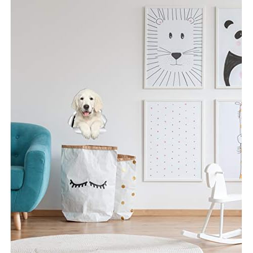 Winston & Bear Gorgeous Golden Retriever Dog Wall Decals - 2 Pack - 3D Sticker Decals for Walls, Cars, Toilet and More - Retail Packaged Golden Retriever Gifts