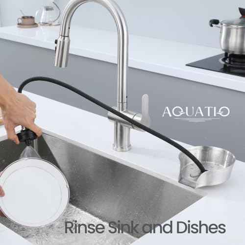 2 in1 Glass Rinser for Kitchen Sink - Stainless Steel Cup Cleaner - Counter Top Bottle Washer - Kitchen Sink Accessories - Attachements - Sink Sprayer (Nickel)