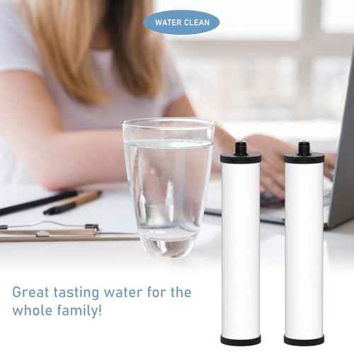 FRX02 W9223021 UltraCarb Ceramic Water Filter Candle, Compatible with Franke 02 FRX-02 FRX02 FR9455 and FRX-01 for Filterflow and Triflow Systems, 2 Pack