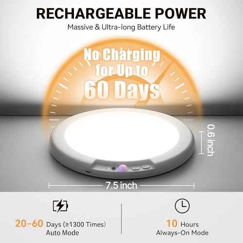 Rechargeable Ceiling Light No Wiring - Battery Operated Led Lights for Bedroom with Remote, Motion Sensor Night Light Indoor Hallway, Living Room, Bathroom, Home & Kitchen Decor Lighting (4)