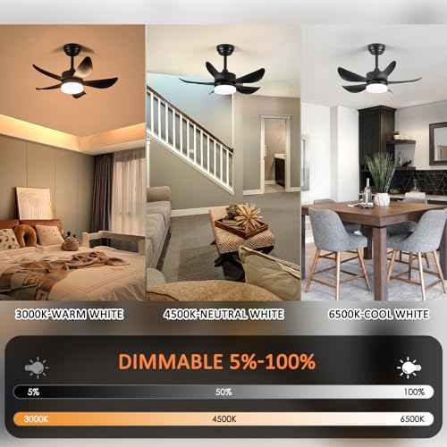 Ceiling Fans with Lights and Remote,30 Inch Smart Ceiling Fan,Reversible,Noiseless,Small Black Ceiling Fan for Bedroom Kitchen Indoor/Outdoor Patio