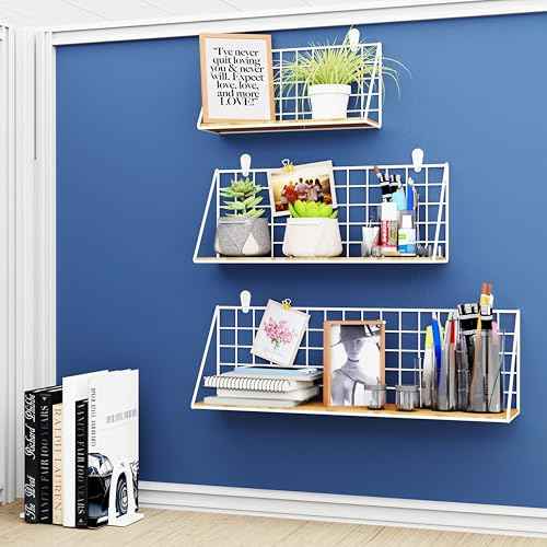 Combined Metal Shelf Wall-Mounted Storage Rack Utility,Hooks Wall Organizer Storage Display Tray Accessories for Craft Room Home Office Bathroom Kitchen (White, 3PCS Combinations(S+M+L))