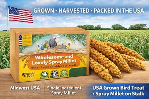 Birds LOVE 1 lb Wholesome Spray Millet for Birds – USA Grown, Natural Sun-Dried Millet Sprays –Thick Clusters Bird Treat for Parakeets, Budgies, Cockatiels, Conures, Finches & Parrots