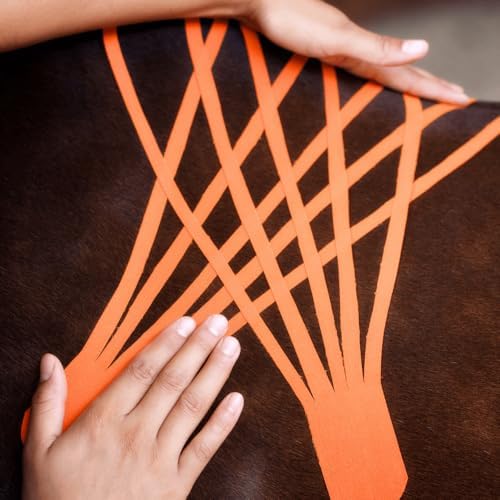 VETKIN VetkinTape® Veterinary Kinesiology Tape | Tape for Horses & Dogs | Equine & Canine Kinesiotape | Latex Free and Quality Mark Certified Ktape | 1.2 inch | Pack of 2 Rolls (Orange)